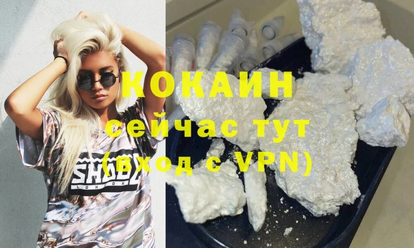 гашик Аркадак
