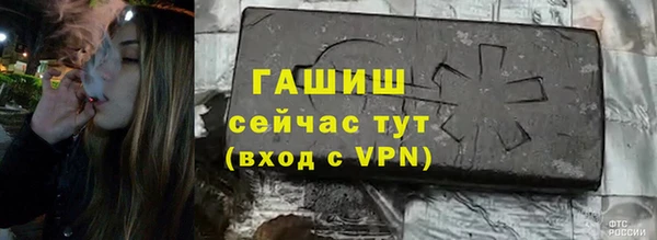 гашик Аркадак