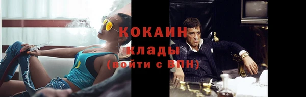 гашик Аркадак