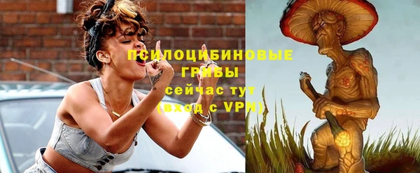 тгк Армянск